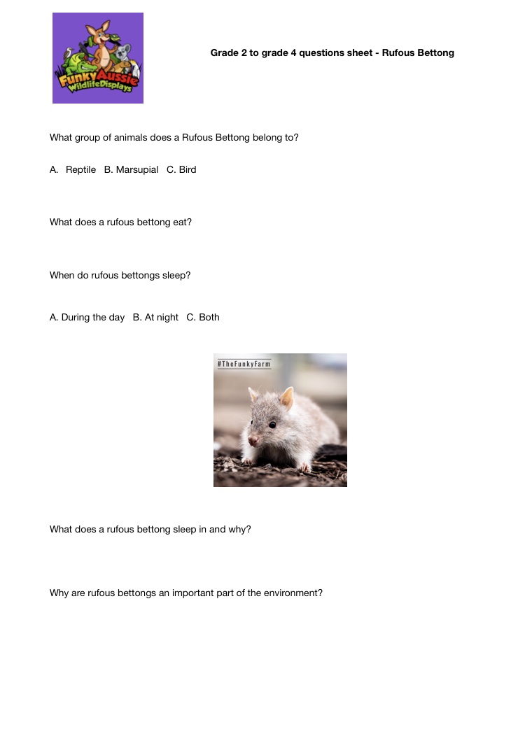 Rufous Bettong learning resources – Grade 3 and 4 | Aussie Wildlife Displays Rufous Bettong learning resources – Grade 3 and 4 | Aussie Wildlife Displays